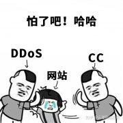 浅谈云服务器能不能防cc攻击？