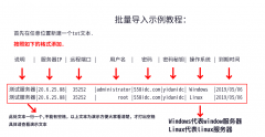 自由互联服务器批量管理工具批量导入使用教程