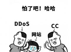 服务器被cc攻击提供一些防cc攻击的解决办法